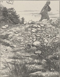 The Sower by John Everett Millais, 1863 design; 1864 print