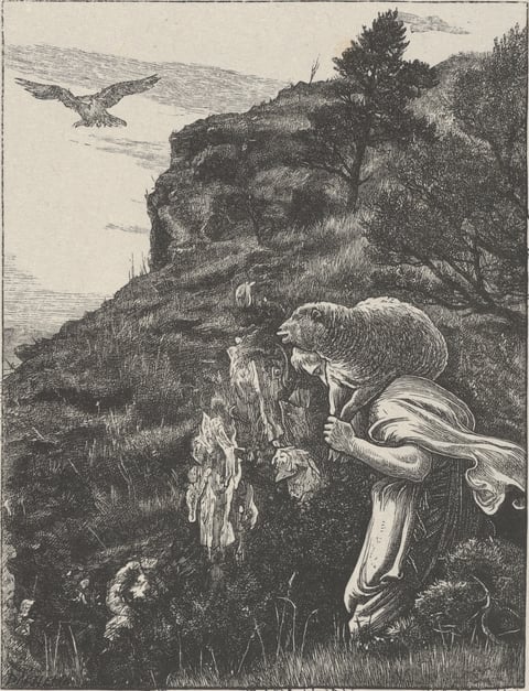The Lost Sheep by John Everett Millais