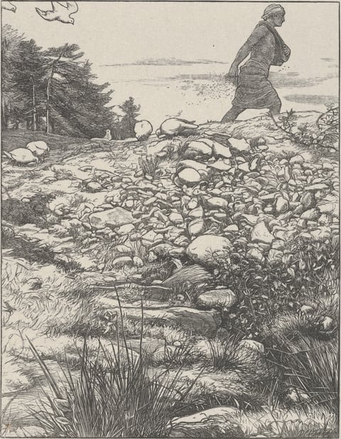 The Sower by John Everett Millais